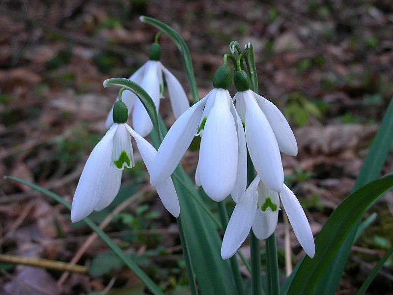 Aria di primavera...